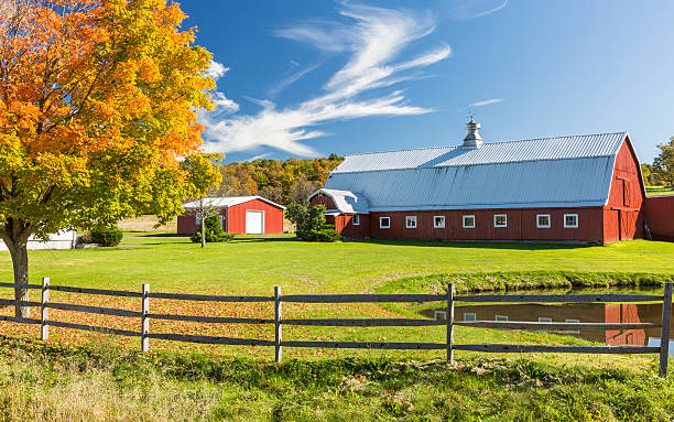 The Maple Barn – farm stand in the Catskills, NY