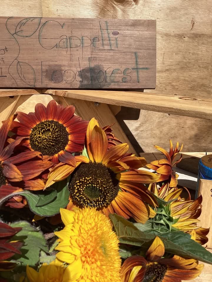 Cappelli Food Forest – farm stand in the Catskills, NY