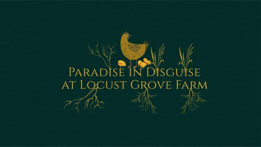 Paradise in Disguise at Locust Grove Farm – farm stand in the Catskills, NY